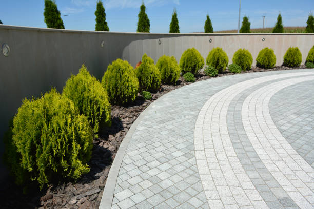 Best Affordable Driveway Paving  in Bayshore, NC